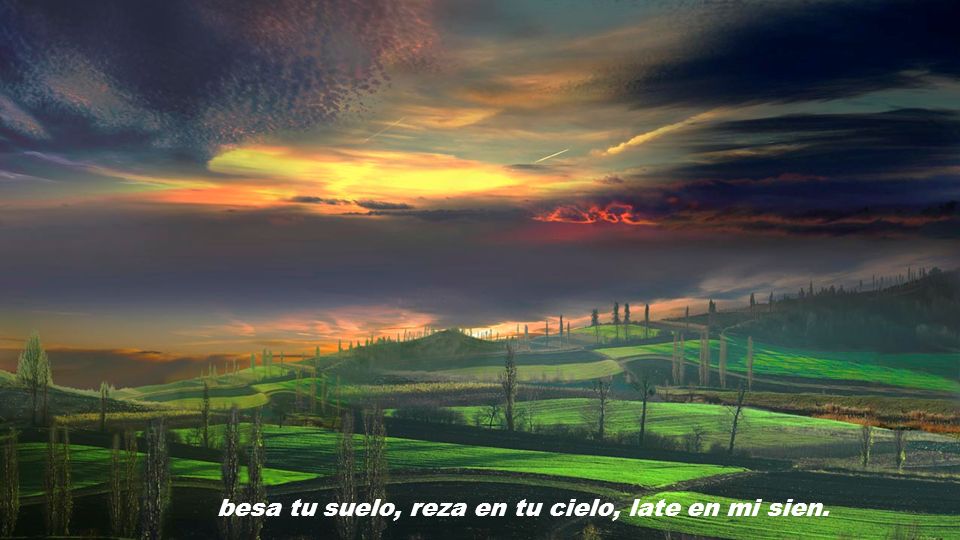 besa tu suelo, reza en tu cielo, late en mi sien.