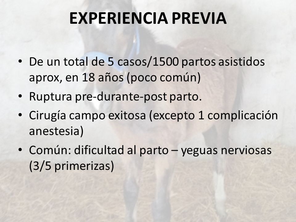 EXPERIENCIA PREVIA De un total de 5 casos/1500 partos asistidos aprox, en 18 años (poco común) Ruptura pre-durante-post parto.
