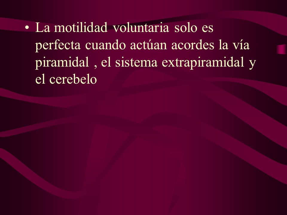 La motilidad voluntaria solo es perfecta cuando actúan acordes la vía piramidal , el sistema extrapiramidal y el cerebelo