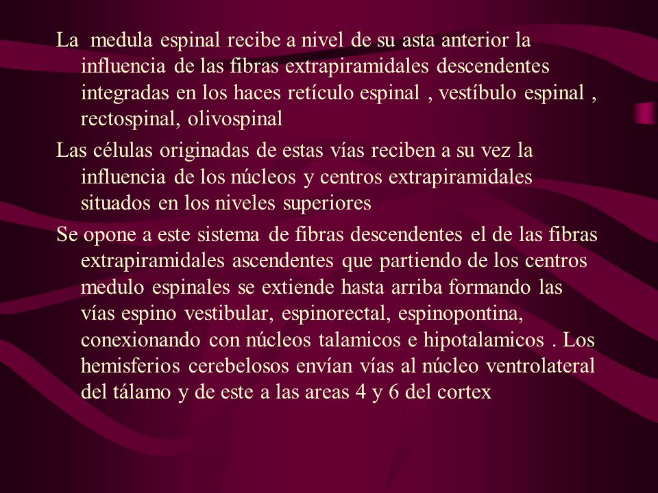 La medula espinal recibe a nivel de su asta anterior la influencia de las fibras extrapiramidales descendentes integradas en los haces retículo espinal , vestíbulo espinal , rectospinal, olivospinal