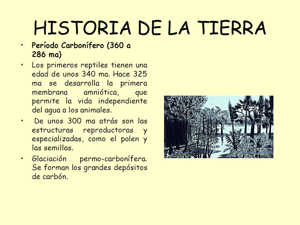 HISTORIA DE LA TIERRA Período Carbonífero (360 a 286 ma)