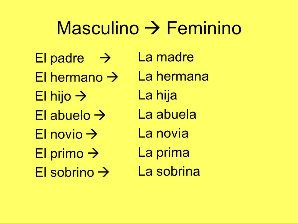 Masculino  Feminino La madre El padre  La hermana El hermano 