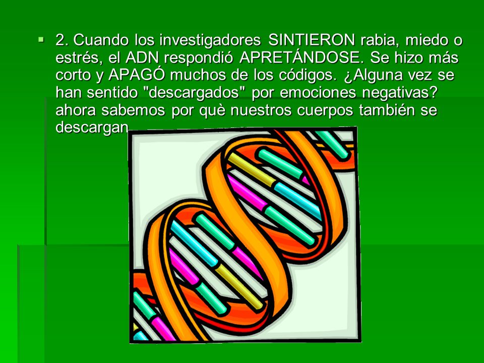 2. Cuando los investigadores SINTIERON rabia, miedo o estrés, el ADN respondió APRETÁNDOSE.