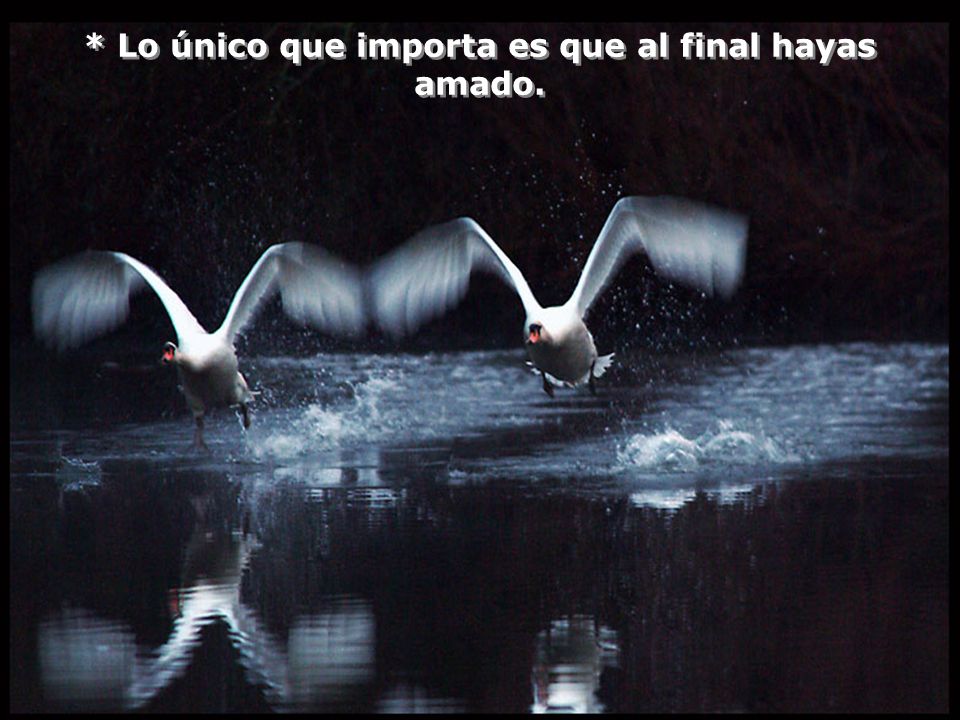 * Lo único que importa es que al final hayas amado.