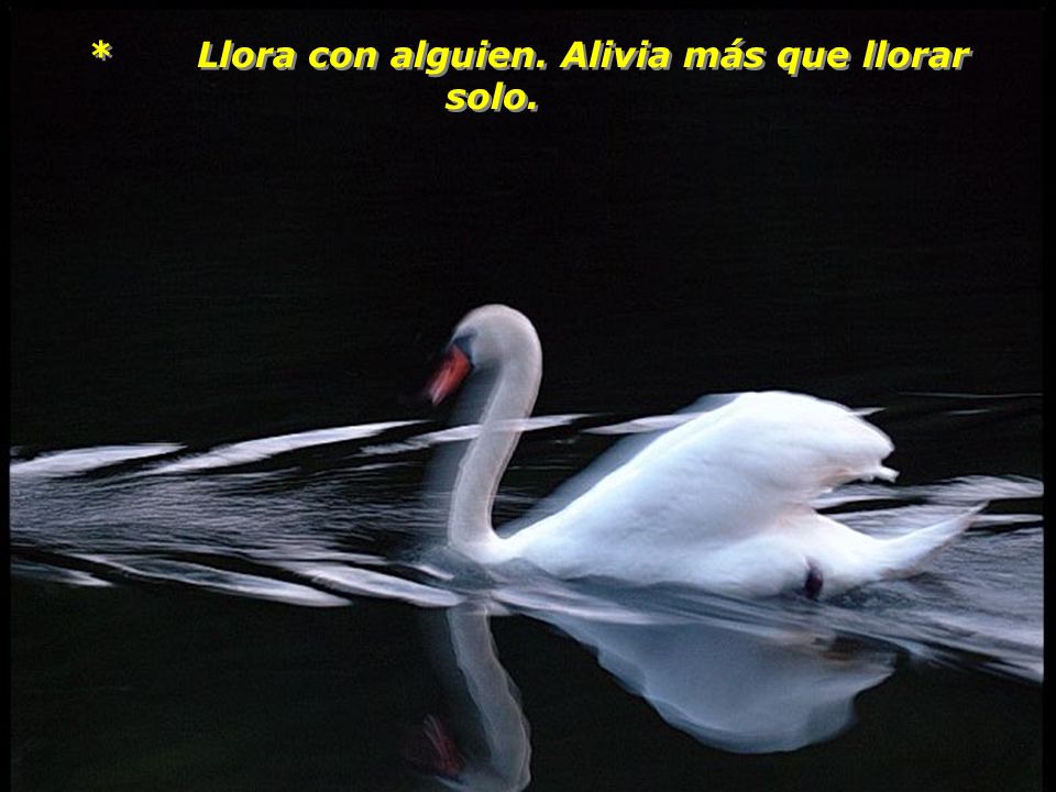 * Llora con alguien. Alivia más que llorar solo.
