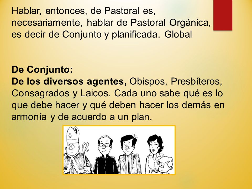 Hablar, entonces, de Pastoral es, necesariamente, hablar de Pastoral Orgánica,