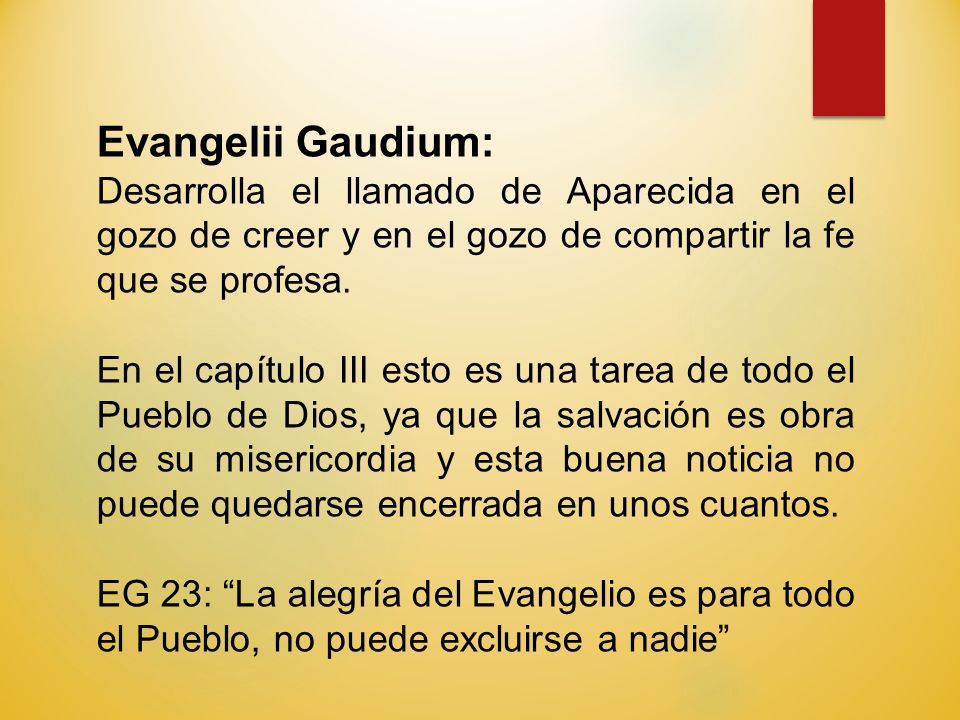Evangelii Gaudium: Desarrolla el llamado de Aparecida en el gozo de creer y en el gozo de compartir la fe que se profesa.