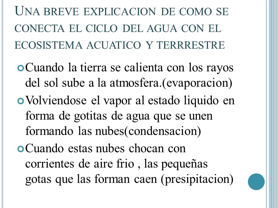 Una breve explicacion de como se conecta el ciclo del agua con el ecosistema acuatico y terrrestre