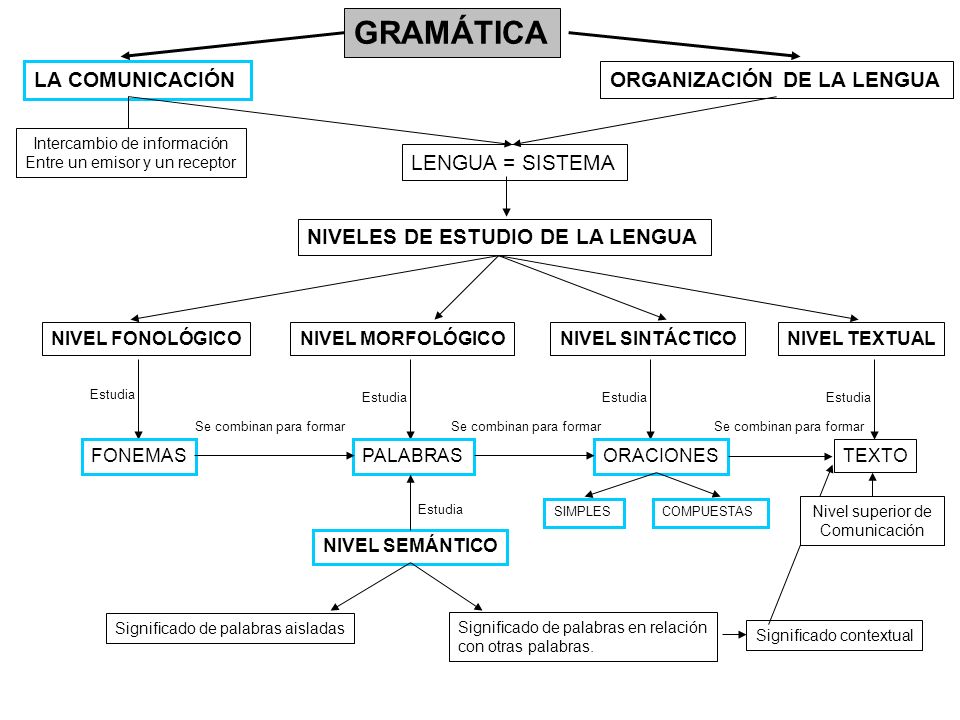 GRAMÁTICA LA COMUNICACIÓN ORGANIZACIÓN DE LA LENGUA LENGUA = SISTEMA