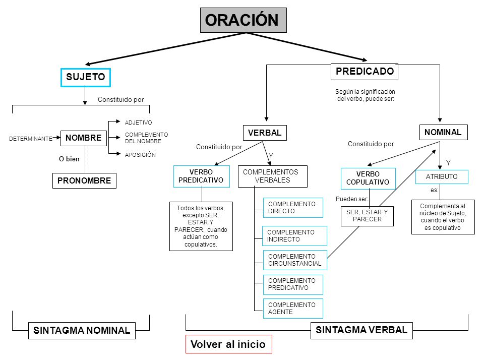 ORACIÓN Volver al inicio PREDICADO SUJETO SINTAGMA NOMINAL