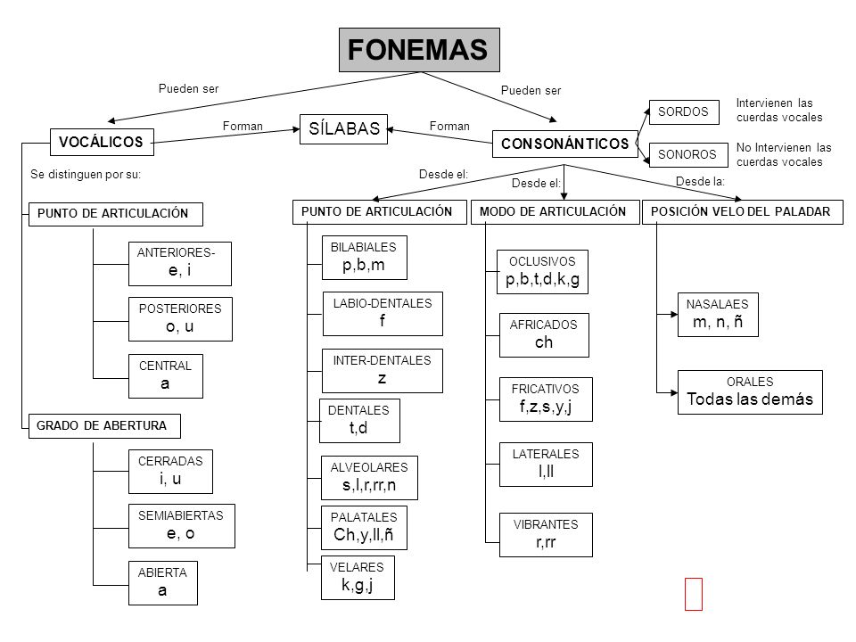 FONEMAS SÍLABAS p,b,m e, i p,b,t,d,k,g f m, n, ñ o, u ch z a