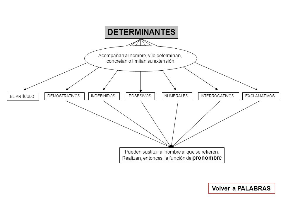 DETERMINANTES Volver a PALABRAS Acompañan al nombre, y lo determinan,