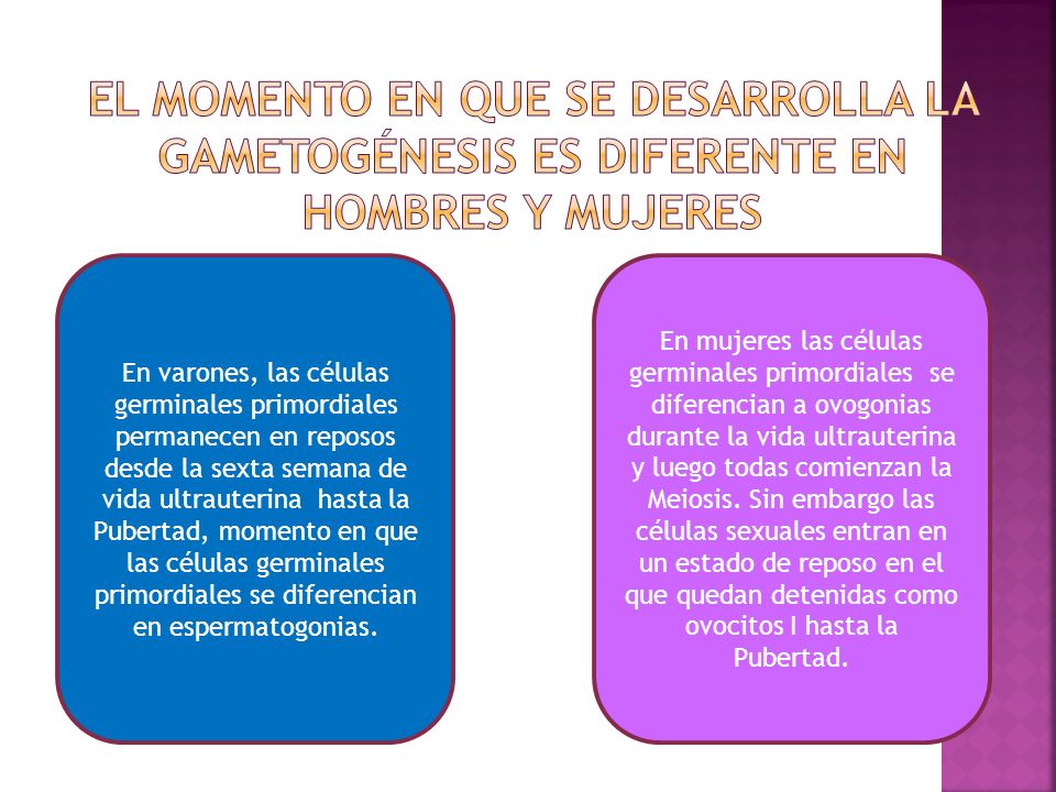 El momento en que se desarrolla la gametogénesis es diferente en hombres y mujeres