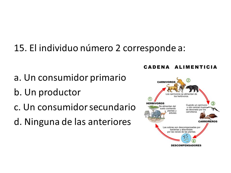 15. El individuo número 2 corresponde a: