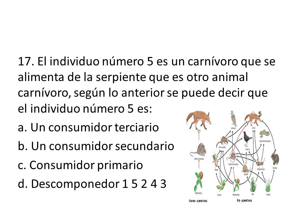 a. Un consumidor terciario b. Un consumidor secundario