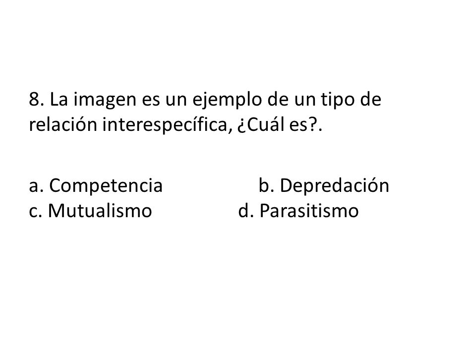 8. La imagen es un ejemplo de un tipo de relación interespecífica, ¿Cuál es .