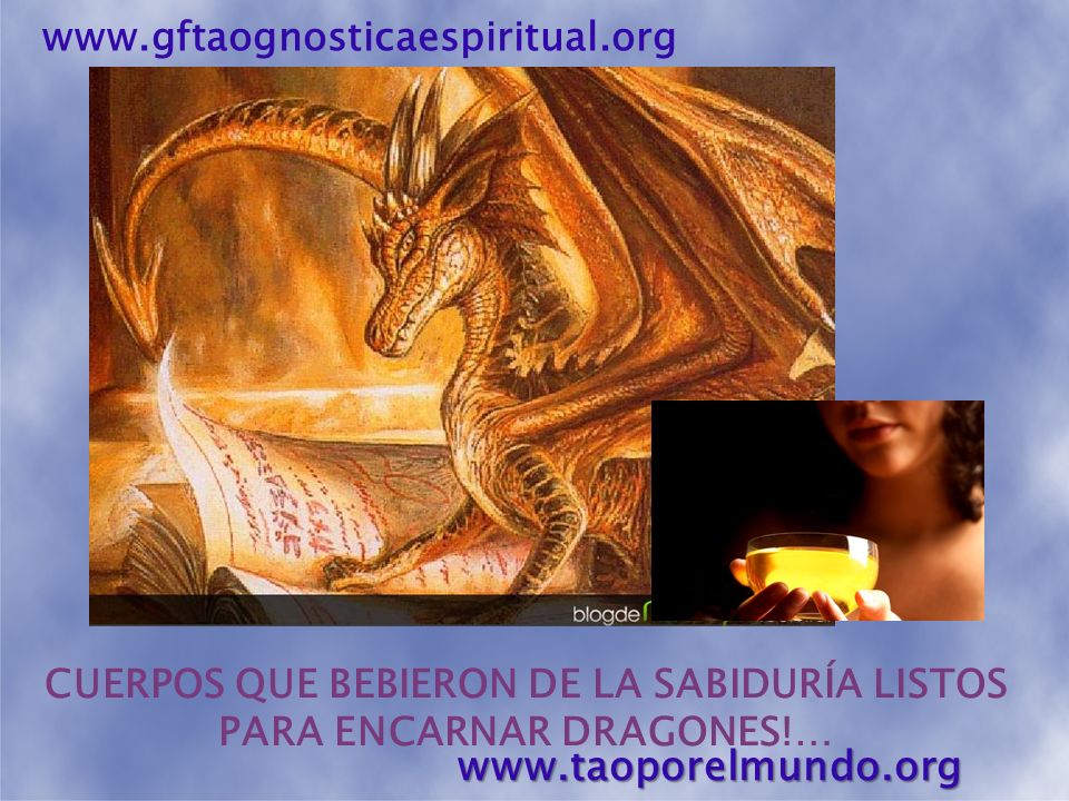 CUERPOS QUE BEBIERON DE LA SABIDURÍA LISTOS PARA ENCARNAR DRAGONES!…