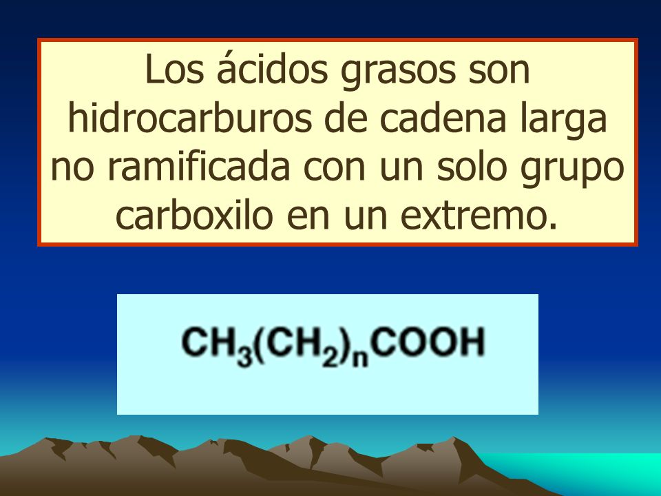 Los ácidos grasos son hidrocarburos de cadena larga no ramificada con un solo grupo carboxilo en un extremo.