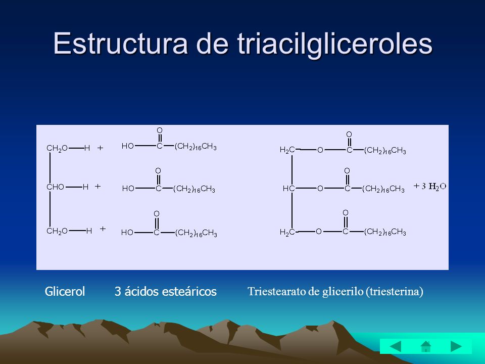 Estructura de triacilgliceroles