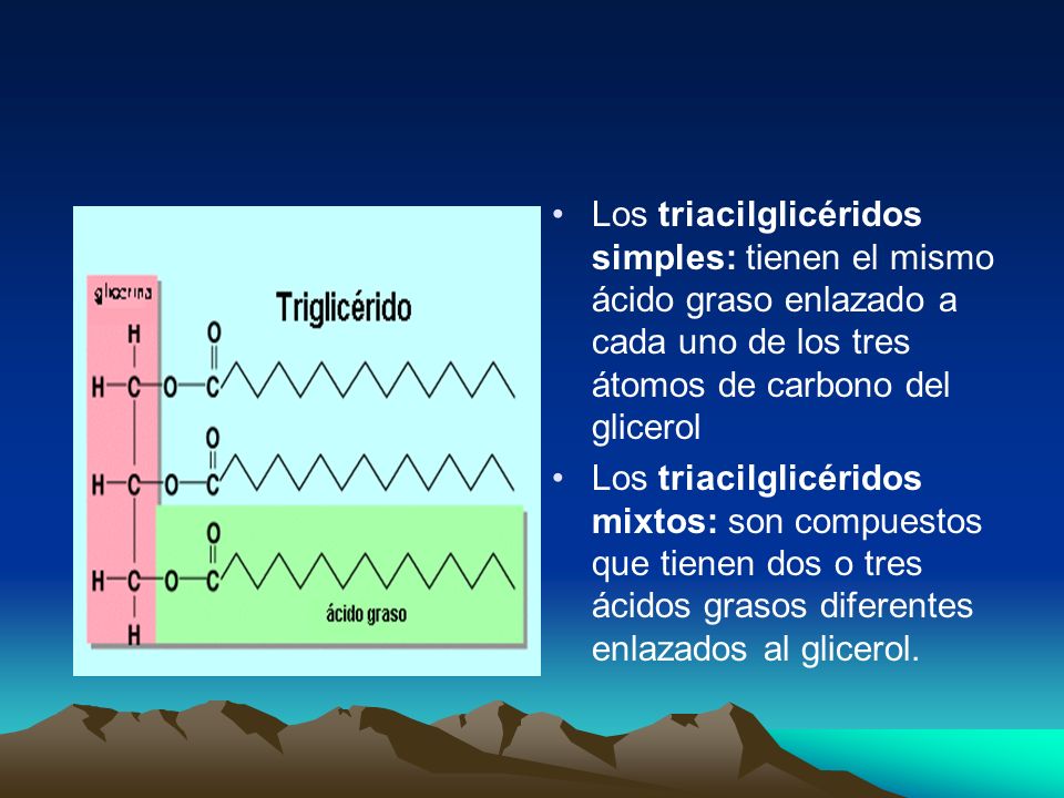 Los triacilglicéridos simples: tienen el mismo ácido graso enlazado a cada uno de los tres átomos de carbono del glicerol