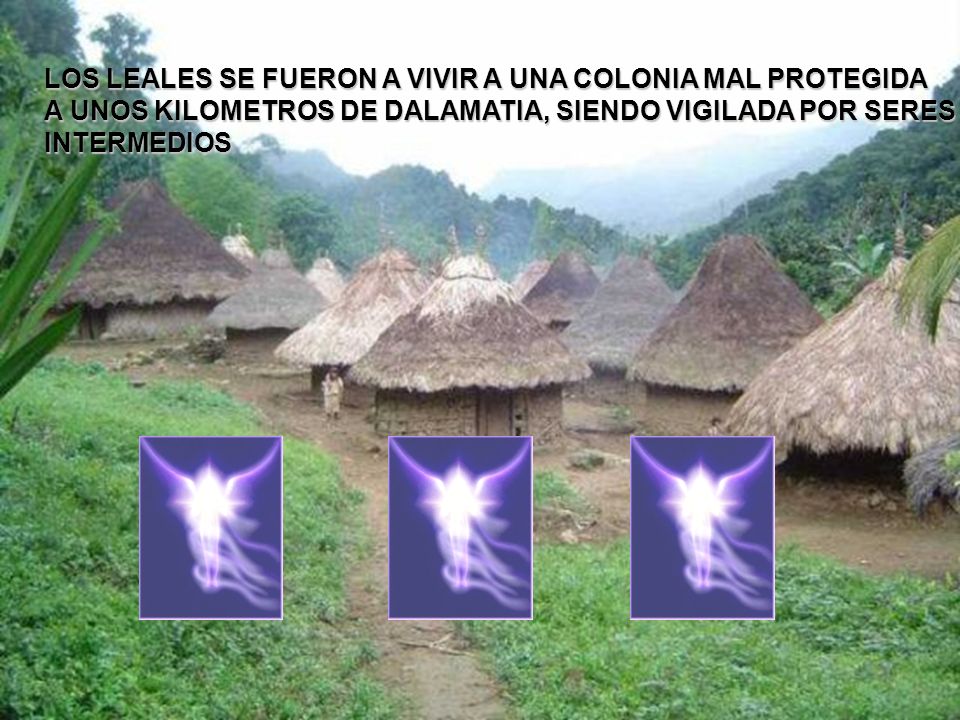 LOS LEALES SE FUERON A VIVIR A UNA COLONIA MAL PROTEGIDA