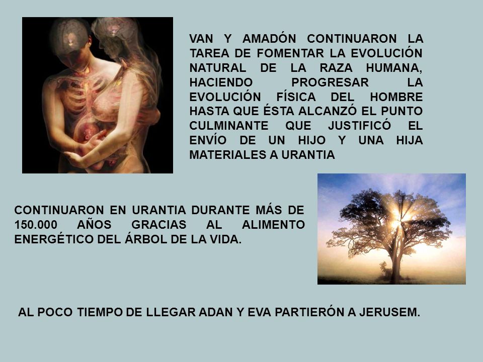 VAN Y AMADÓN CONTINUARON LA TAREA DE FOMENTAR LA EVOLUCIÓN NATURAL DE LA RAZA HUMANA, HACIENDO PROGRESAR LA EVOLUCIÓN FÍSICA DEL HOMBRE HASTA QUE ÉSTA ALCANZÓ EL PUNTO CULMINANTE QUE JUSTIFICÓ EL ENVÍO DE UN HIJO Y UNA HIJA MATERIALES A URANTIA