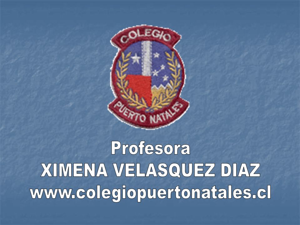 Profesora XIMENA VELASQUEZ DIAZ