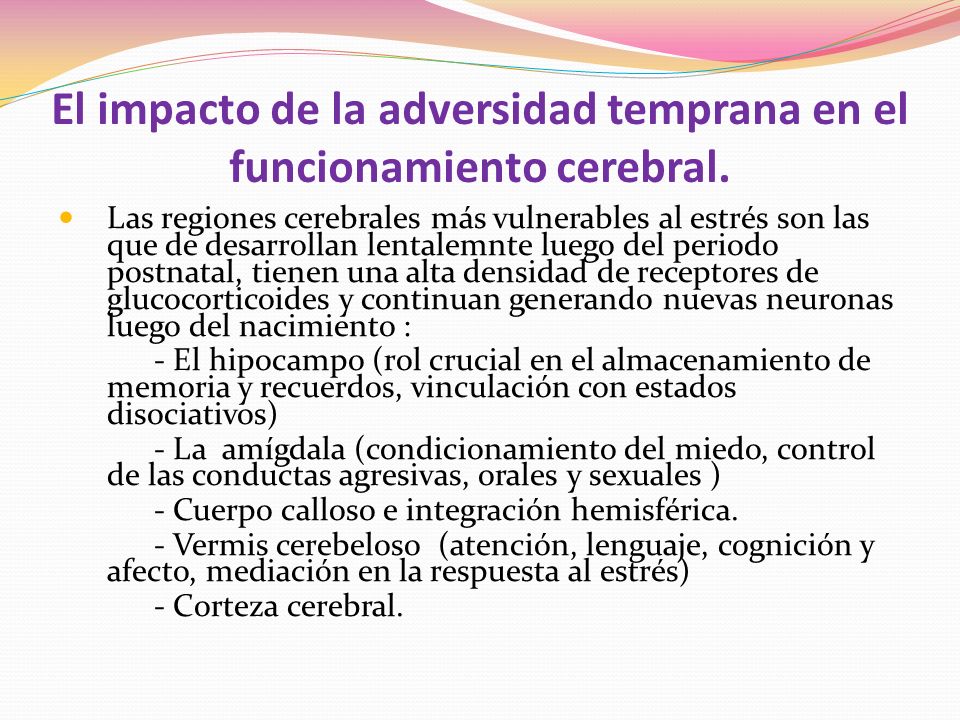 El impacto de la adversidad temprana en el funcionamiento cerebral.