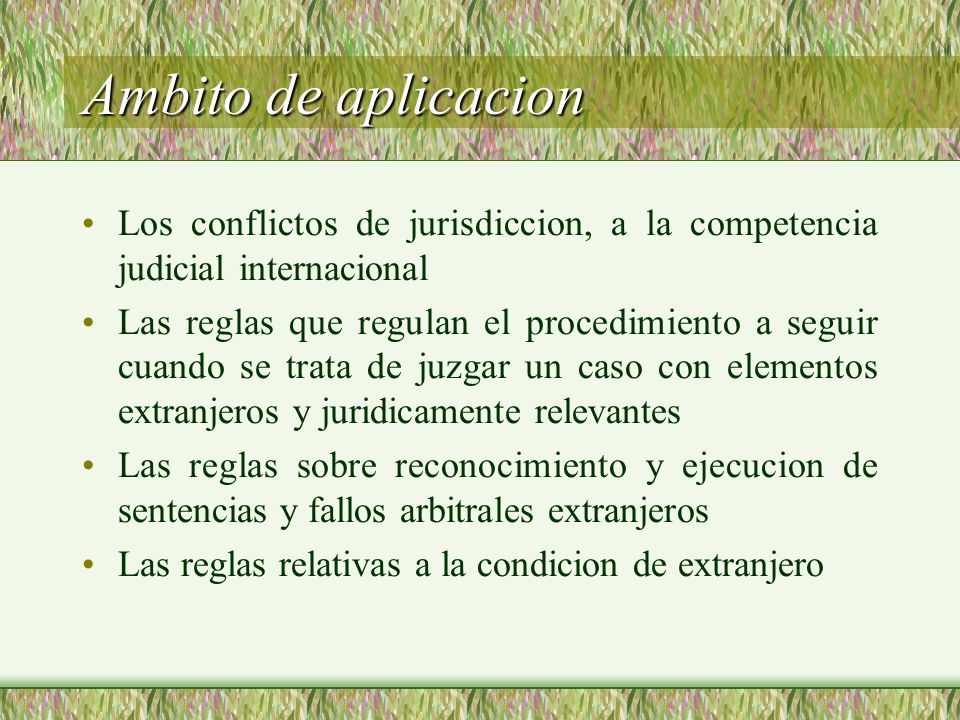Ambito de aplicacion Los conflictos de jurisdiccion, a la competencia judicial internacional.