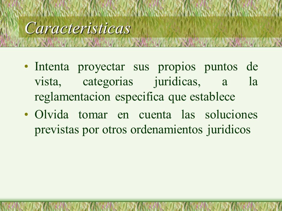 Caracteristicas Intenta proyectar sus propios puntos de vista, categorias juridicas, a la reglamentacion especifica que establece.