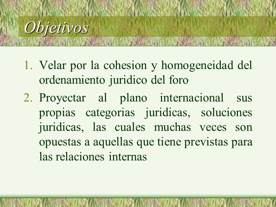 Objetivos Velar por la cohesion y homogeneidad del ordenamiento juridico del foro.