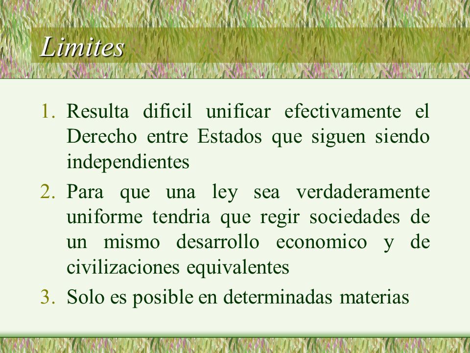 Limites Resulta dificil unificar efectivamente el Derecho entre Estados que siguen siendo independientes.