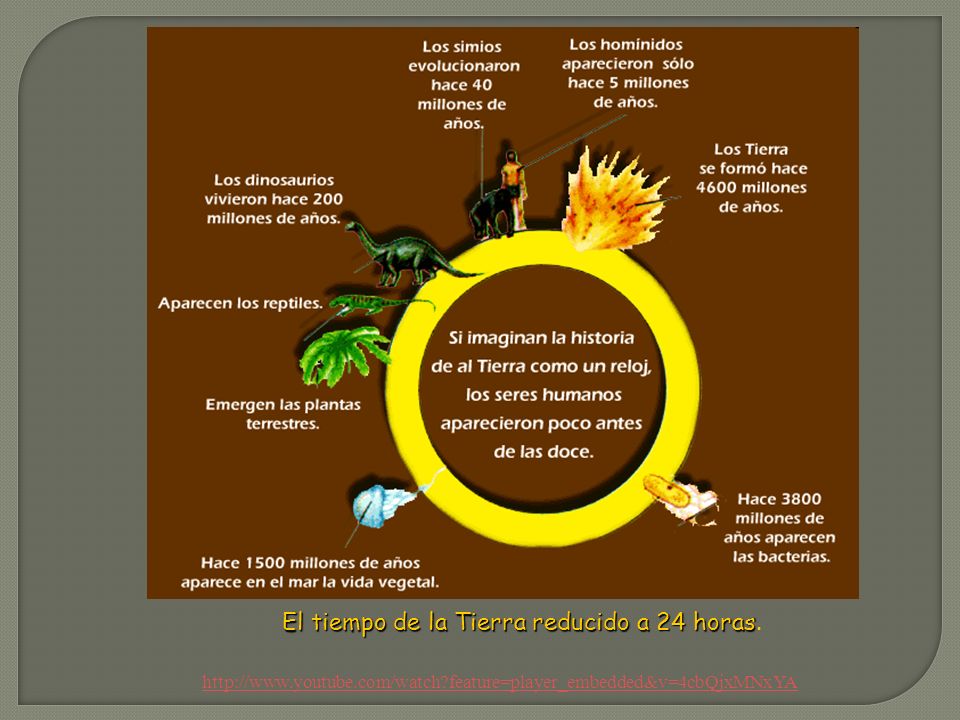 El tiempo de la Tierra reducido a 24 horas.