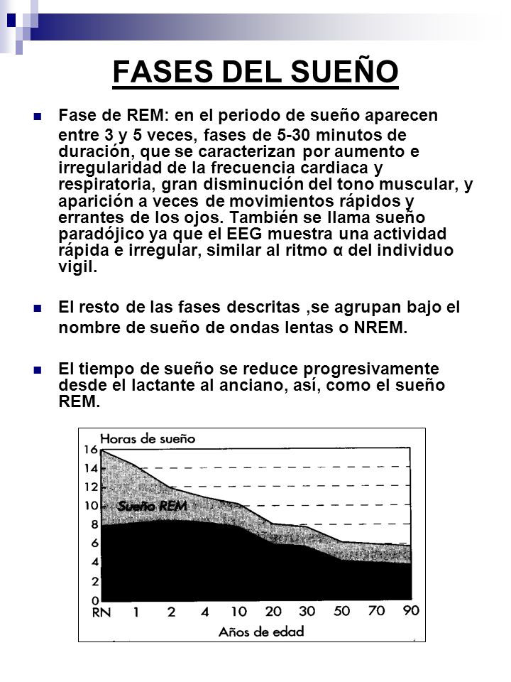FASES DEL SUEÑO Fase de REM: en el periodo de sueño aparecen