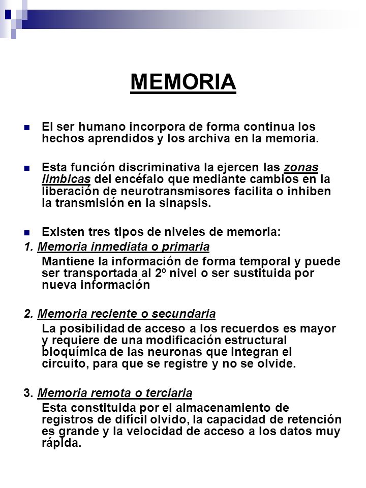 MEMORIA El ser humano incorpora de forma continua los hechos aprendidos y los archiva en la memoria.