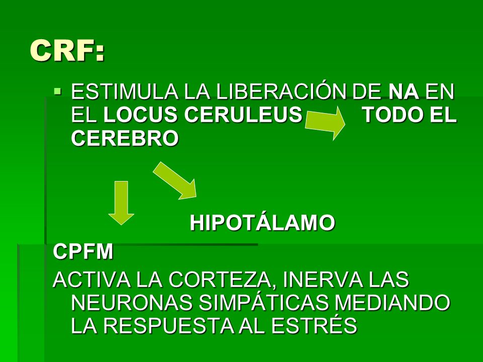 CRF: ESTIMULA LA LIBERACIÓN DE NA EN EL LOCUS CERULEUS TODO EL CEREBRO