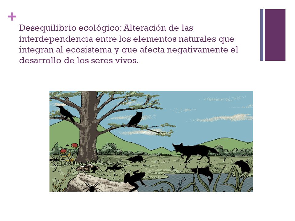 Desequilibrio ecológico: Alteración de las interdependencia entre los elementos naturales que integran al ecosistema y que afecta negativamente el desarrollo de los seres vivos.