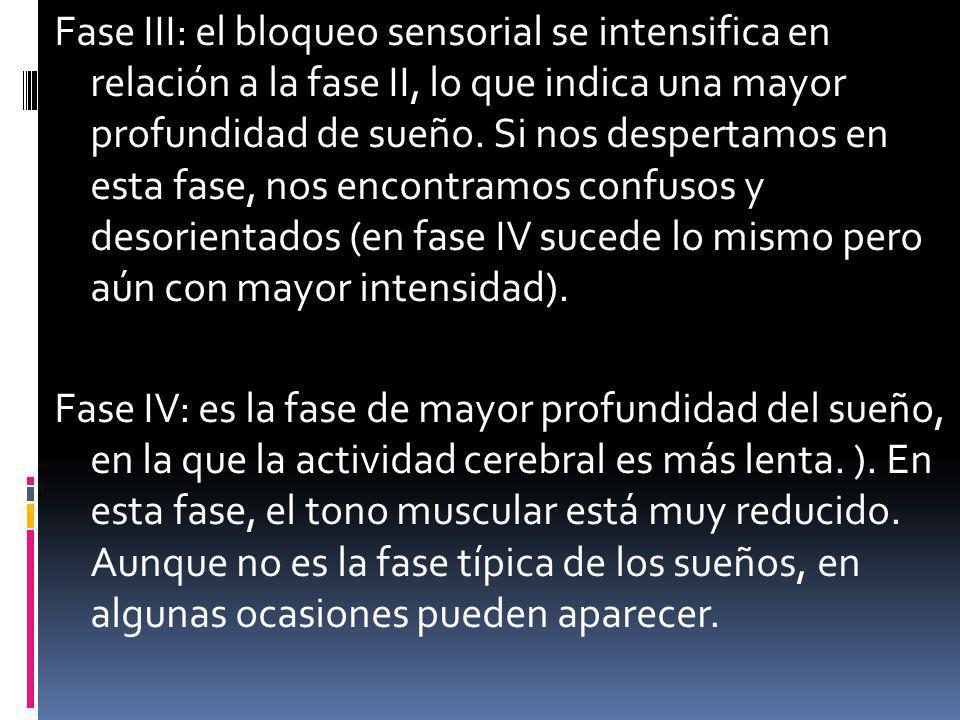 Fase III: el bloqueo sensorial se intensifica en relación a la fase II, lo que indica una mayor profundidad de sueño.