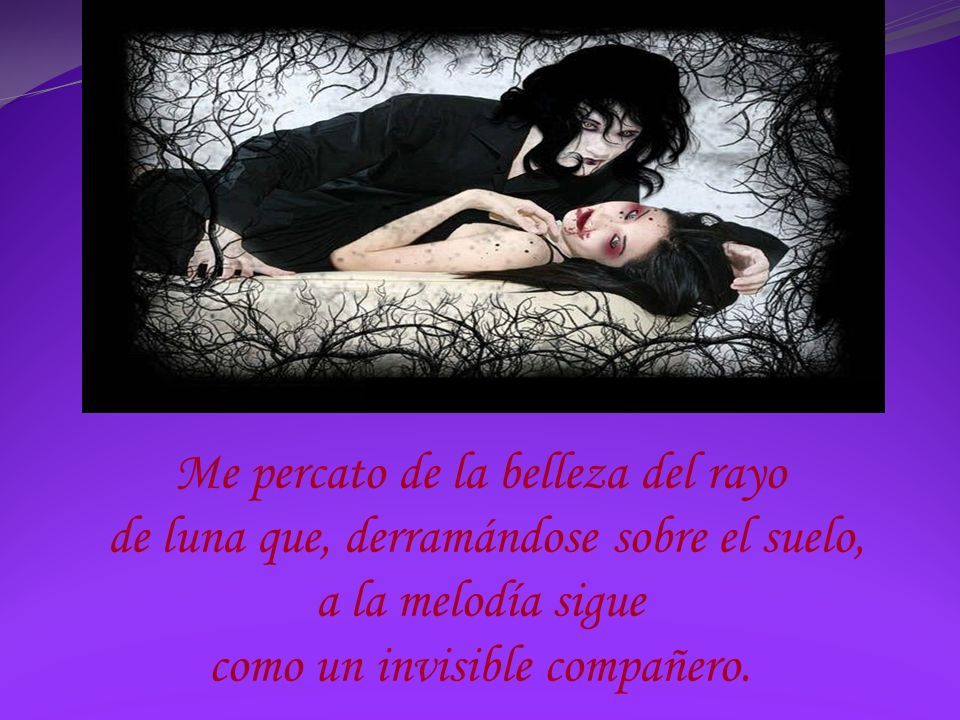 Me percato de la belleza del rayo de luna que, derramándose sobre el suelo, a la melodía sigue como un invisible compañero.