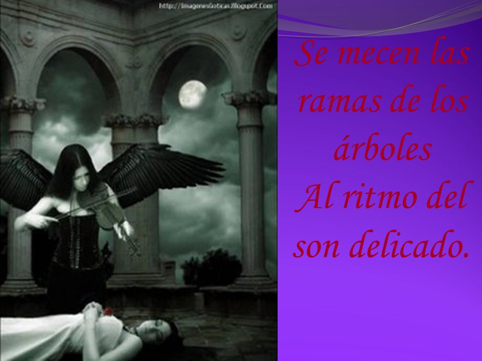 Se mecen las ramas de los árboles Al ritmo del son delicado.