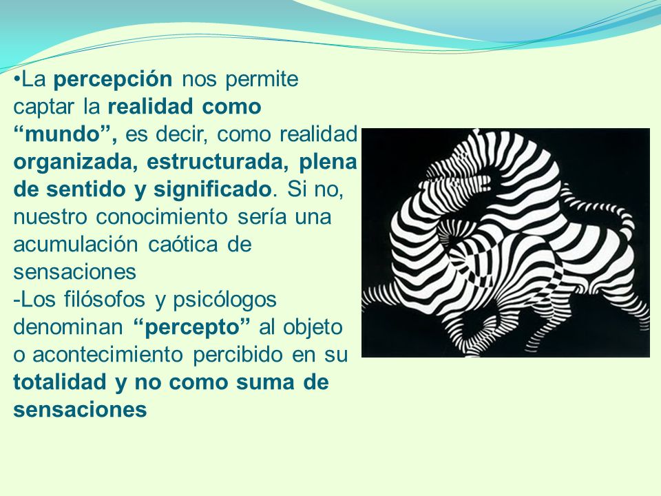 La percepción nos permite captar la realidad como mundo , es decir, como realidad organizada, estructurada, plena de sentido y significado. Si no, nuestro conocimiento sería una acumulación caótica de sensaciones -Los filósofos y psicólogos denominan percepto al objeto o acontecimiento percibido en su totalidad y no como suma de sensaciones