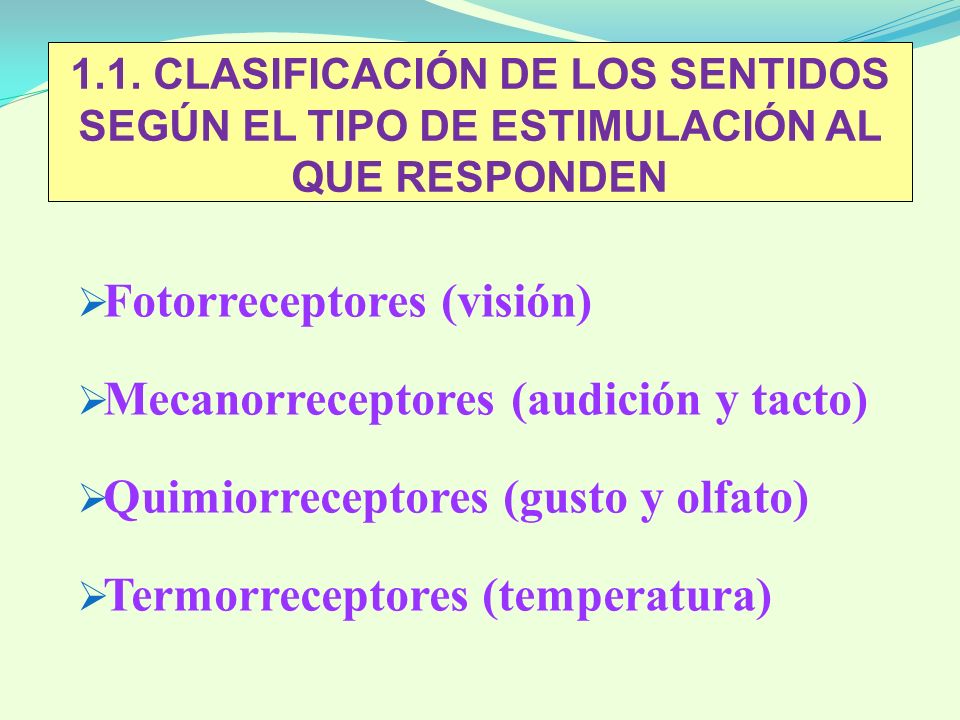 Fotorreceptores (visión) Mecanorreceptores (audición y tacto)