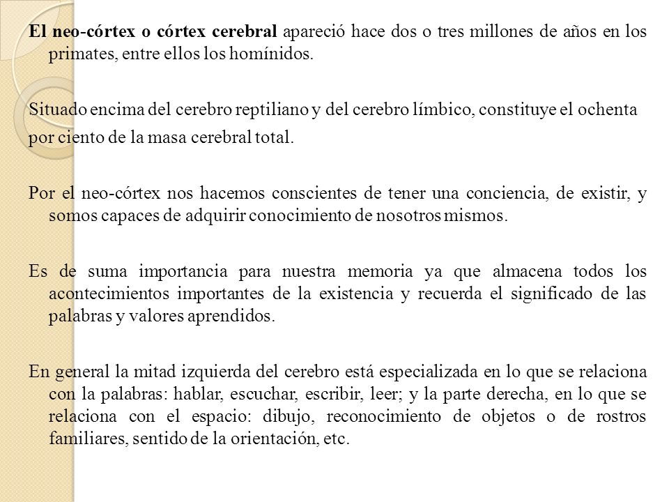 El neo-córtex o córtex cerebral apareció hace dos o tres millones de años en los primates, entre ellos los homínidos.
