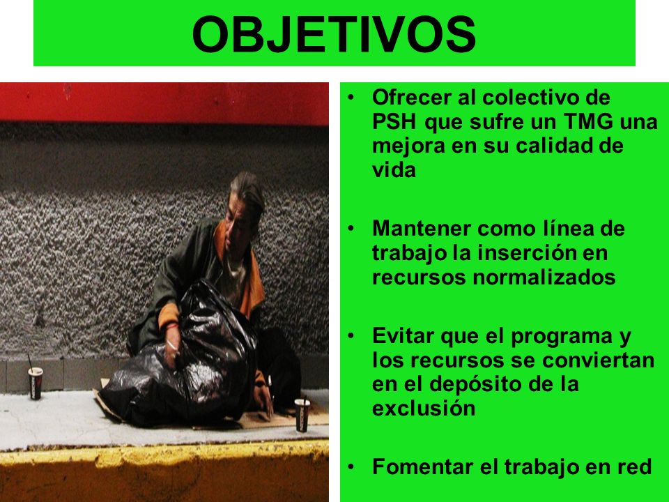 OBJETIVOS Ofrecer al colectivo de PSH que sufre un TMG una mejora en su calidad de vida.