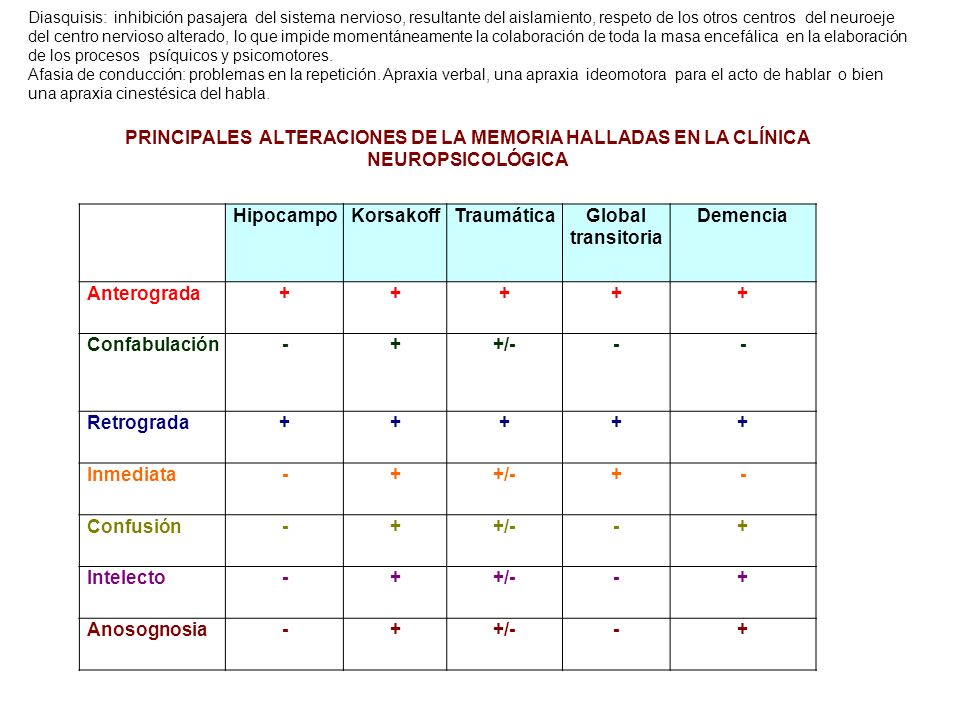 Hipocampo Korsakoff Traumática Global transitoria Demencia + - +/-