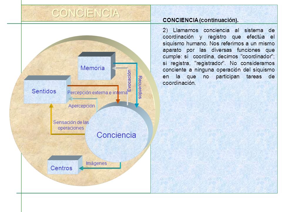 CONCIENCIA Conciencia Memoria Sentidos Centros