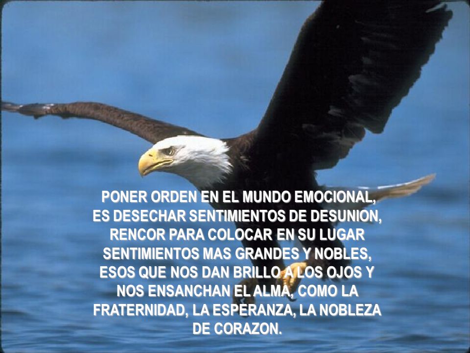PONER ORDEN EN EL MUNDO EMOCIONAL, ES DESECHAR SENTIMIENTOS DE DESUNION, RENCOR PARA COLOCAR EN SU LUGAR SENTIMIENTOS MAS GRANDES Y NOBLES, ESOS QUE NOS DAN BRILLO A LOS OJOS Y NOS ENSANCHAN EL ALMA, COMO LA FRATERNIDAD, LA ESPERANZA, LA NOBLEZA DE CORAZON.