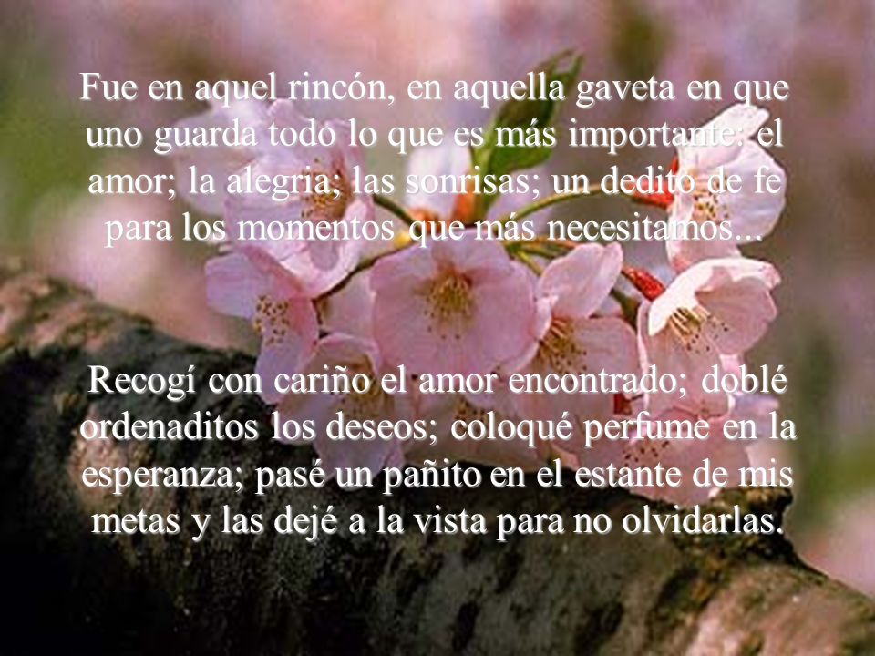Fue en aquel rincón, en aquella gaveta en que uno guarda todo lo que es más importante: el amor; la alegria; las sonrisas; un dedito de fe para los momentos que más necesitamos...