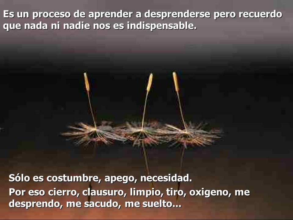 Es un proceso de aprender a desprenderse pero recuerdo que nada ni nadie nos es indispensable.