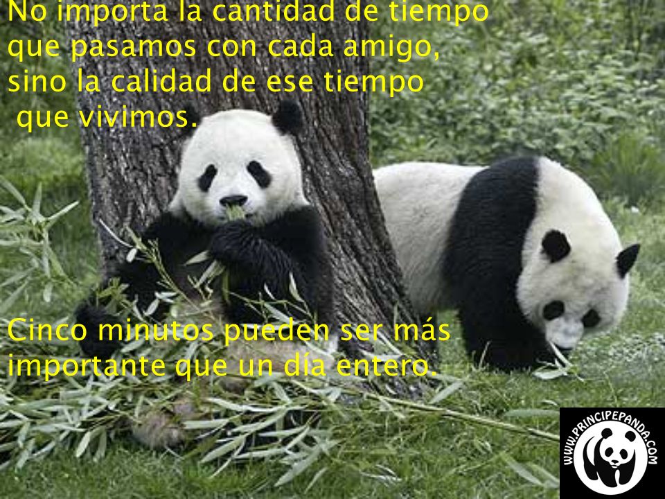 No importa la cantidad de tiempo que pasamos con cada amigo, sino la calidad de ese tiempo que vivimos.